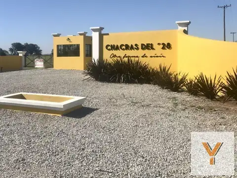 Terreno en Venta -  - 560mts - Adolfo Alsina