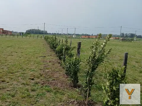 Terreno en Venta de 5600,0 m2