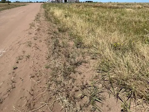 Terreno en Venta en Macachin, USD 15.000