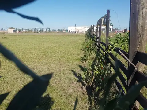 Terreno en Venta de 5004,4 m2