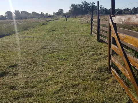 Terreno en Venta de 5004,4 m2