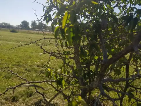 Terreno en Venta en Guernica, USD 47.500