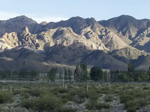 Terreno en Venta de 3000,0 m2