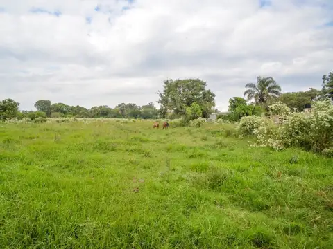 Ruta Nacional 11 y  Uspallata