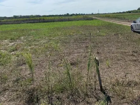 ÙLTIMOS lotes disponibles