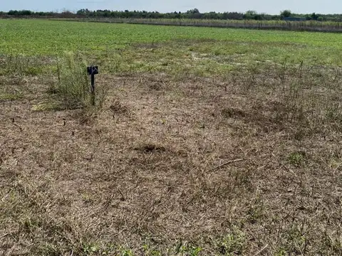 Terreno en Venta de 400,0 m2