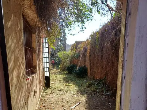 Calle 65 entre 16 y 17 1000