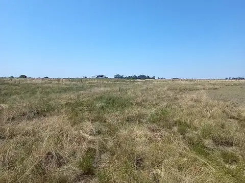 Campo en venta - 76 Hectáreas - San Nicolás de los Arroyos