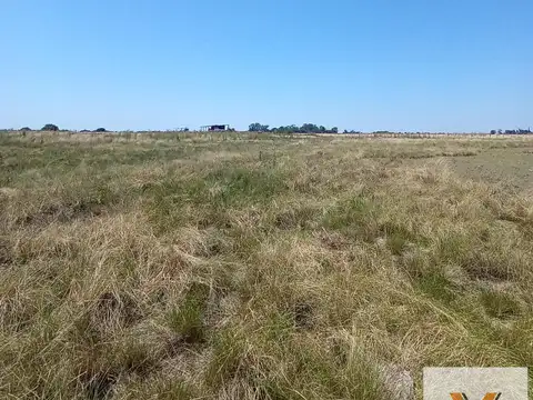 Campo en venta - 76 Hectáreas - San Nicolás de los Arroyos