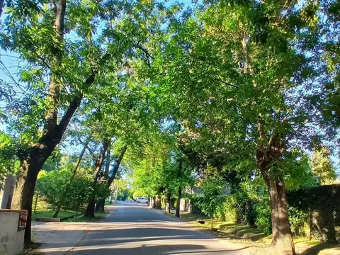 454 entre Cno. Belgrano y 24 , Piso 0