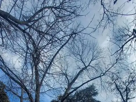 Lote en venta en City Bell