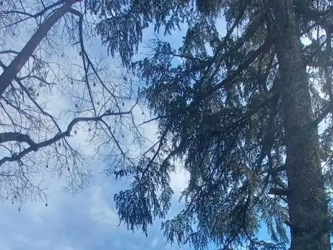 Terreno en Venta de 456,0 m2