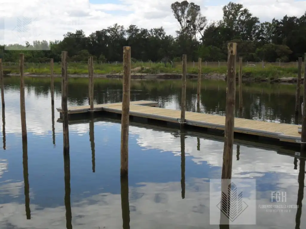 Lote Amarra Cazal - Foto 57