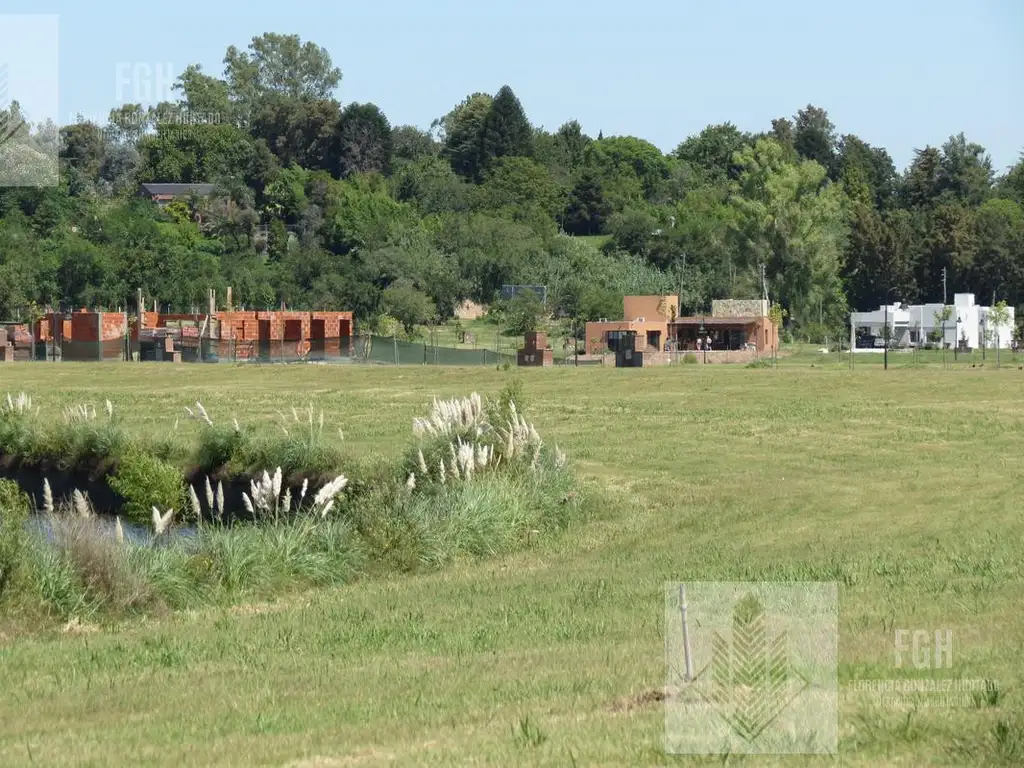 Lote Amarra Cazal - Foto 78