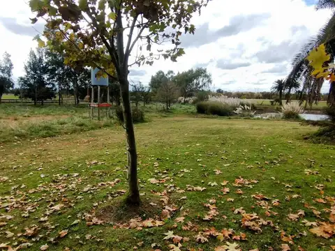 campo en venta - Canning (Ezeiza)