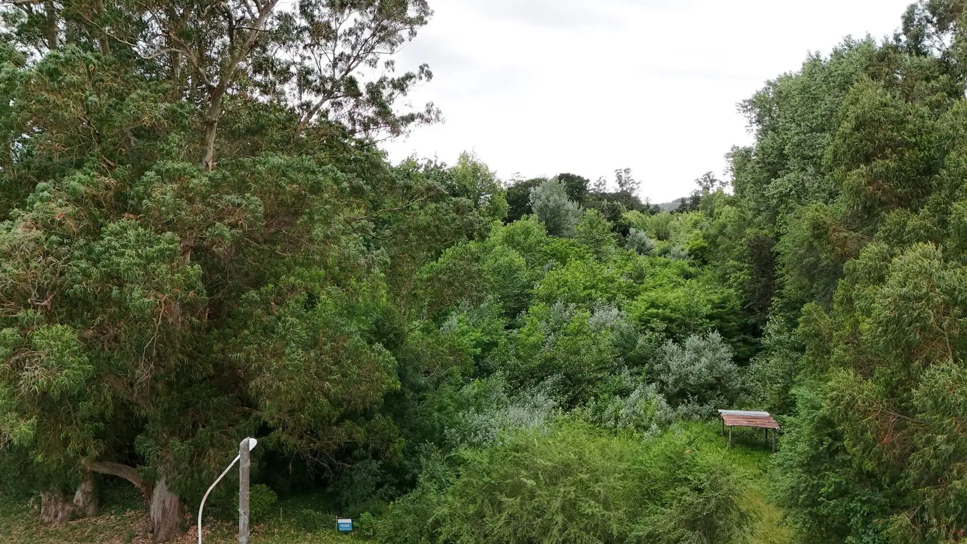 Terreno 6527m² en Reforma Universitaria, ideal para desarrollo