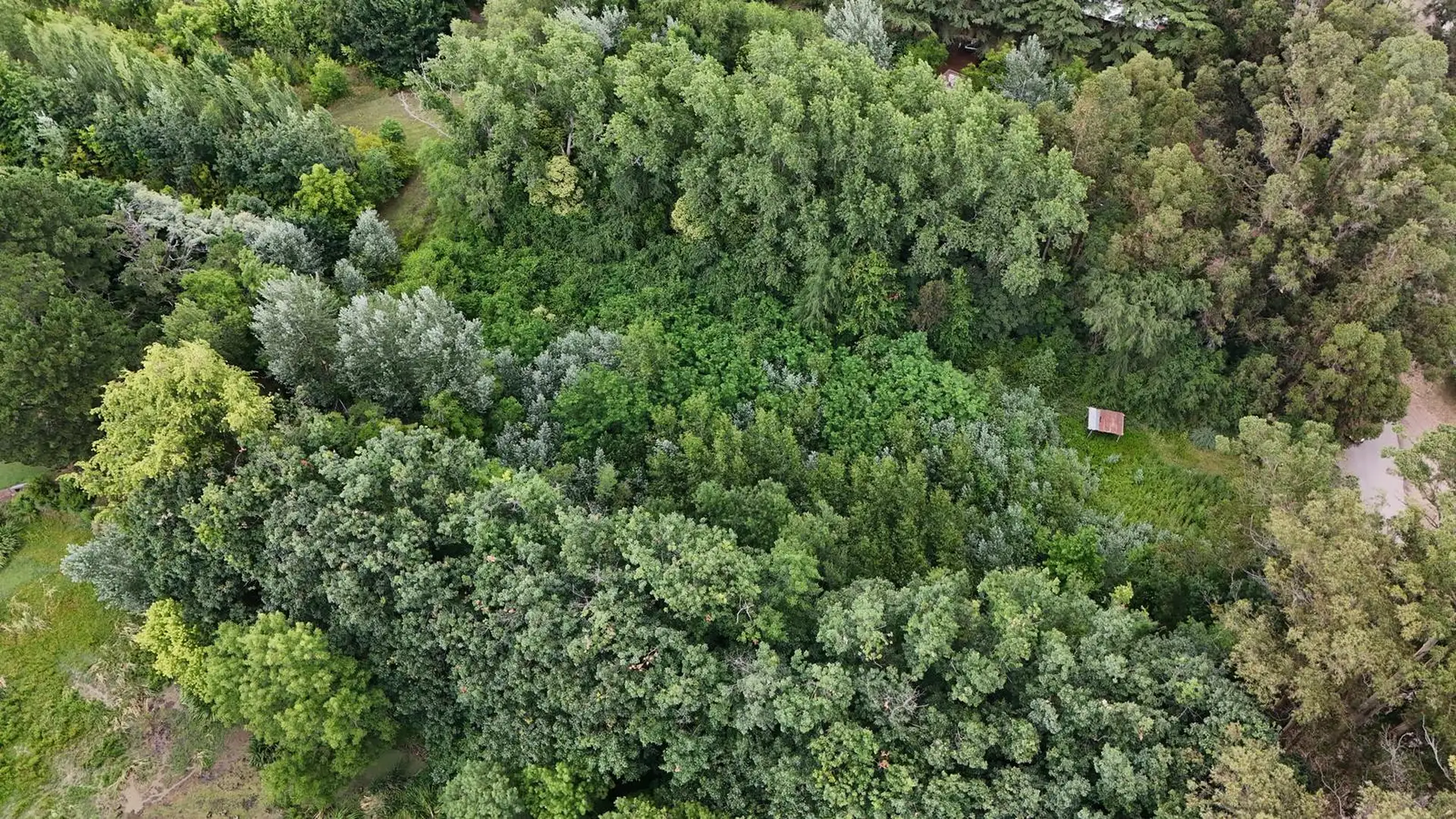 Terreno 6527m² en Reforma Universitaria, ideal para desarrollo