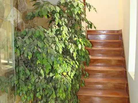 Casa en Alquiler al Norte