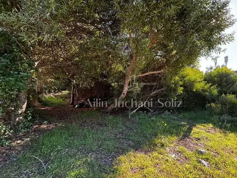 Terreno en Venta en Nueva Atlantis, USD 35.000