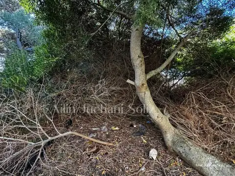 Terreno en Venta en Nueva Atlantis, USD 35.000