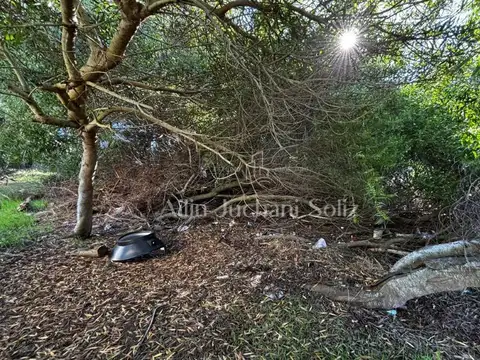 Terreno en Zona Nueva Atlantis