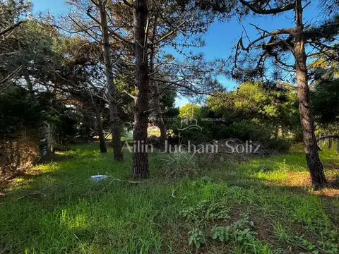 Terreno en Venta de 450,0 m2