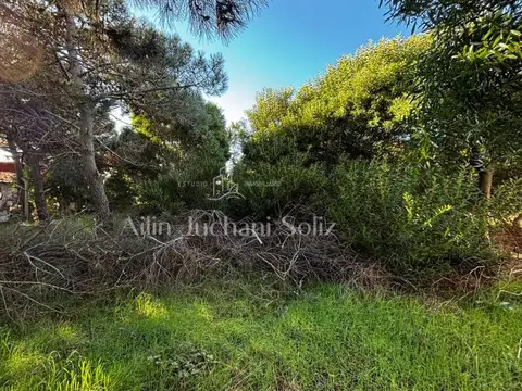 Terreno en Venta en Nueva Atlantis, USD 35.000