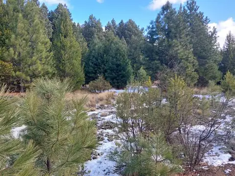 Acceso Al Challhuaco Lote F 100