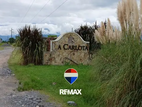 VENTA TERRENO LA CARLOTA - CAMPO QUIJANO - 606 m2 