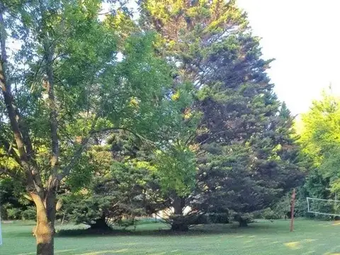 Terreno en Venta de 367,0 m2