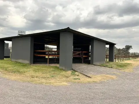 Campo en Venta de 0,36  ha