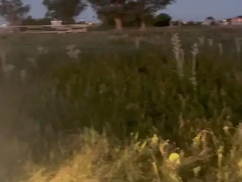Altos Del Mar Golf, San Clemente Del Tuyú