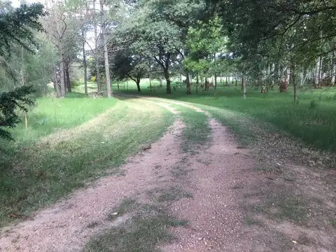 Campo en Venta de 3  ha