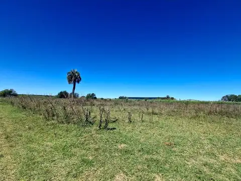 Campo en Venta Industrialización