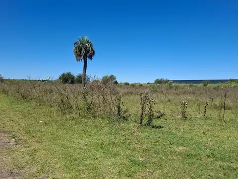 Campo en Venta de 4  ha