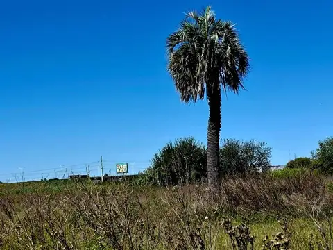 Campo en Venta Industrialización