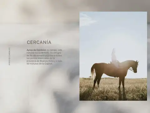 Cardales