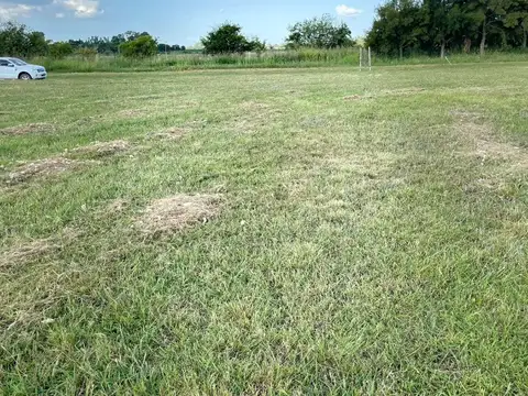 Campo en Venta Agrícola