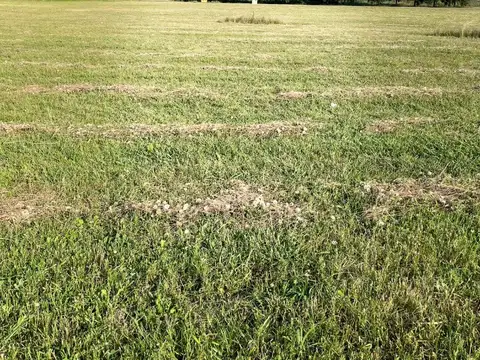 El Espinillo Carlos Keen Lujan