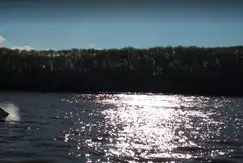 Actividades deportivas futbol, voley, paddle, tenis en el Barrio cerrado, Isla Santa Monica