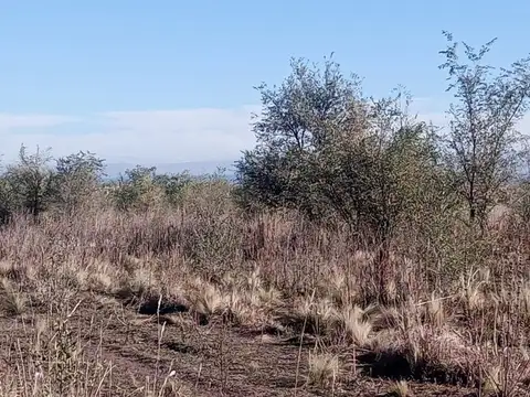 5 HAS. EN LOS REARTES CON VISTAS A LAS MONTAÑAS