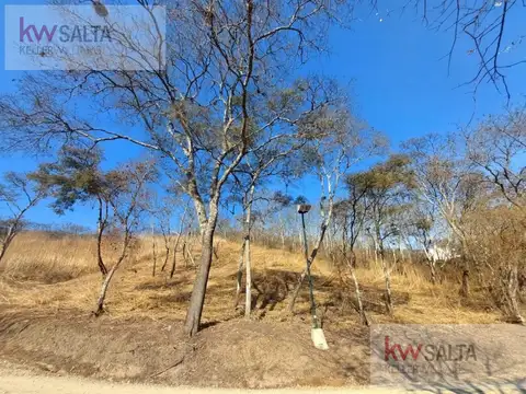 Terreno en Venta de 2996,0 m2