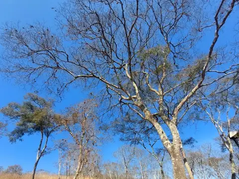 Terreno - Valle Escondido