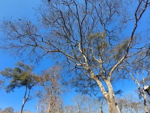 Terreno - Valle Escondido