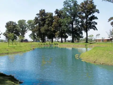Terreno en Venta en San Lucas, USD 29.900