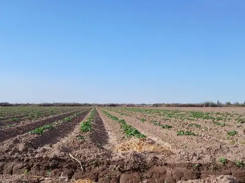 CALLE LA LEGUA SN PAMPA DE LAS BARRANCAS