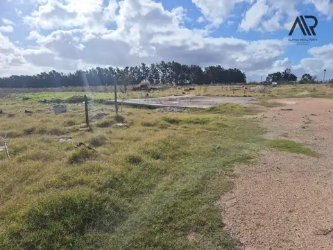Chacra en venta de 35522m2 ubicado en Cuchilla Pereira