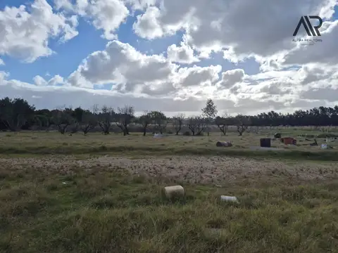 Chacra en venta de 35522m2 ubicado en Cuchilla Pereira