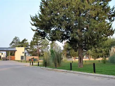 VENDO LOTES ANTIGUA ESTANCIA,SEGURIDAD ESCRITURA,V ALLENDE,