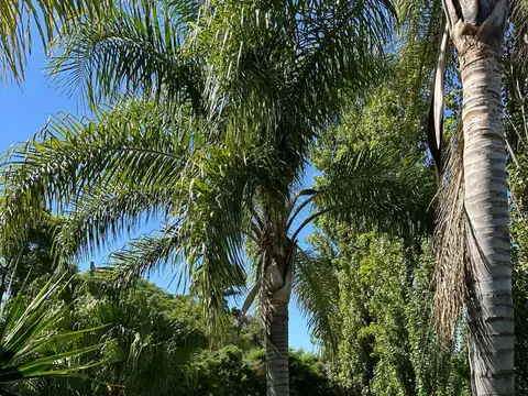 Quinta amoblada al Rio c/Pile